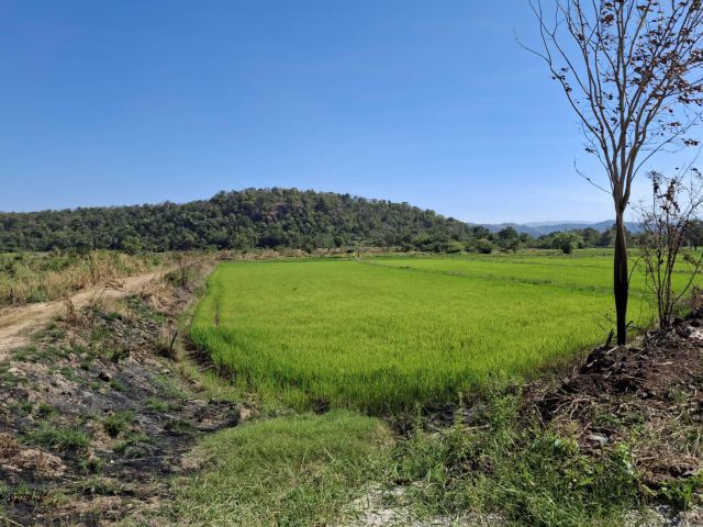 ขายด่วน!!!!! ที่ดินแปลงเล็กโฉนด 5-3-55 ไร่ ที่ 2 แปลง วิวภูเขา ติดน้ำ ต.ชำผักแพว อ.แก่งคอย จ.สระบุรี ขายยกแปลง 2,500,000