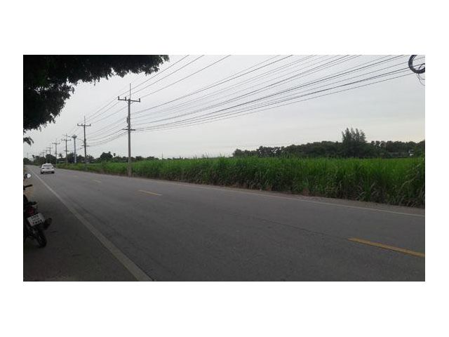 โซนนี้กำลังเจริญมาก ที่ดิน 2 ไร่ถมแลขายราคาถูก หน้าติดทางราดยาง2เลนน์ ( เส้นหนองเสือ-ห้วยกระบอก)และด้านข้างติดทางสาธารณะ ใกล้ทางด่วนขึ้น-ลงวอเตอร์เ