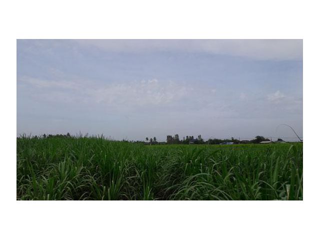 ที่ดินโซนนี้กำลังเจริญมที่ดิน 2 ไร่ ขายราคาถูก หน้าติดทางราดยาง2เลนน์ ( เส้นหนองเสือ-ห้วยกระบอก)และด้านข้างติดทางสาธารณะ ห่างจากทางด่วนขึ้น-ลงวอเตอร์เ