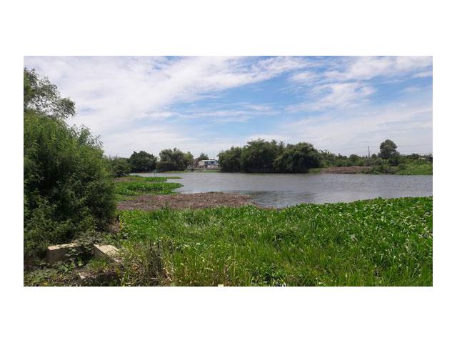 ที่ดินฮวงจุ้ยดี ราคาถูก อยู่ในโซนเจริญ ติดแม่น้ำท่าจีน 1.3 .61ไร่่