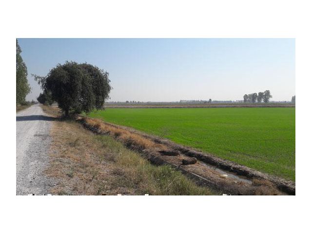 ขายถูก ติดถนนเรียบคลองชล ติดคลอง 2 ด้าน 9 ไร่