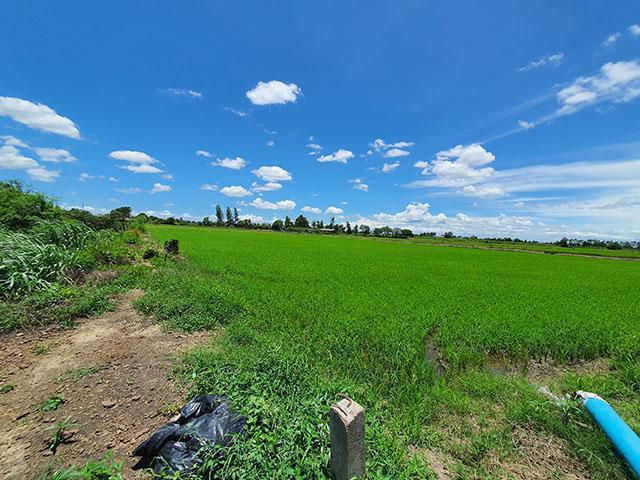 บรรยากาศแบบท้องทุ่งธรรมชาติ ติดทางสาธารณะและคลองชลส่งน้ำ ใกล้มอเตอร์เวย์ จุดเชื่อมต่อ 3 จังหวัด 10.3.27ไร่