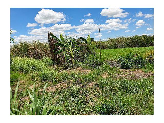 บรรยากาศแบบท้องทุ่งธรรมชาติ ติดทางสาธารณะและคลองชล ใกล้มอเตอร์เวย์  6.3.52ไร่