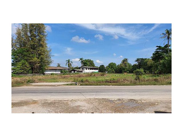 ฮวงจุ้ยดี ทำเลเยี่ยม ติดทางราดยาง 2 เลนน์ 2 ด้าน ไฟฟ้า 3 เฟส ใกล้วัดสว่างอารมณ์ 2.1.68ไร่