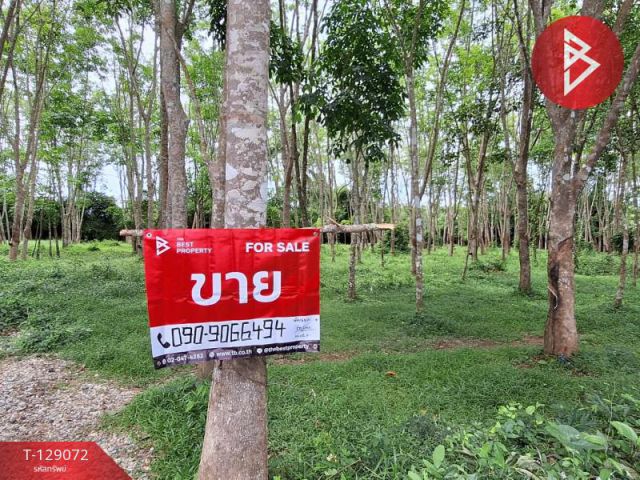 ขายที่ดินสวนยาง เนื้อที่ 7 ไร่ 1 งาน 50 ตารางวา ท่าศาลา นครศรีธรรมราช ติดถนนสาธารณะ