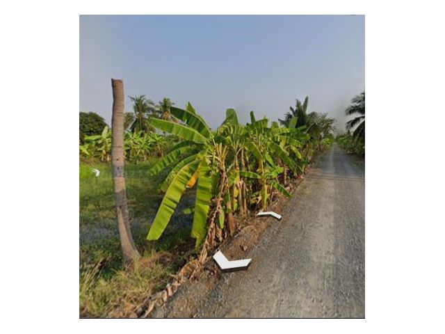 ขายที่ดินแปลงสวยราคาถูกต.คลองโยงเนื้อที่100ตรว.ติดถนนสาธาณะใกล้ชุมชน ใกล้ศาลายาเหมาะปลูกบ้านทำเกษตรพอเพียง