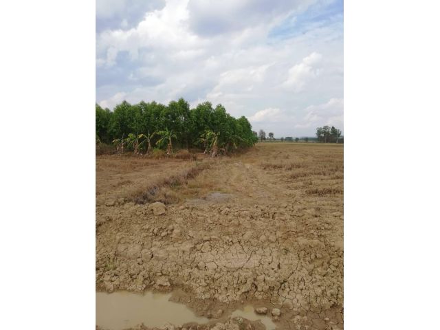 L1177 ขายที่ดินใกล้นิคมฯบ่อทอง 8 ไร่ กบินทร์บุรี ปราจีนบุรี