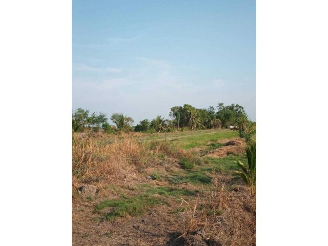 ขายที่ดินเปล่า เป็นพื้นที่สีม่วง (เยื้อง อบต.ลำลูกกา) เหมาะกับการสร้างโรงงาน ขนาด 34-3-3.2 ไร่ ลำลูกกาคลอง 8 ปทุมธานี