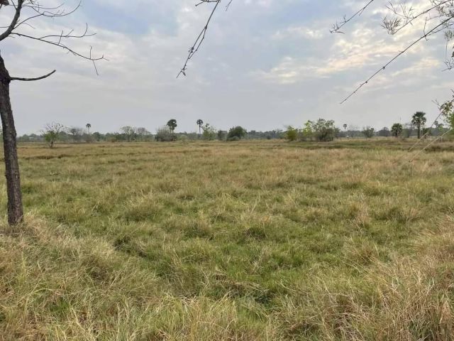 L1178 ขายที่ดิน 58 ไร่ เมืองนครราชสีมา