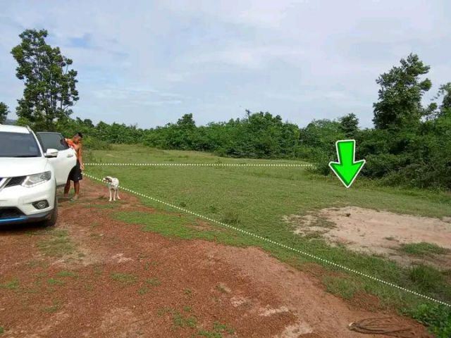 vายด่วนที่ดินแปลงเล็ก,ราคาเบาๆ โฉนด 200ตร.วาหรือ2 งาน ,,ลดเหลือ1.55แสน ถ้วน,,โฉนดครุฑแดงเลขที่ 8757 ต.กลอนโด อ.ด่านมะขา