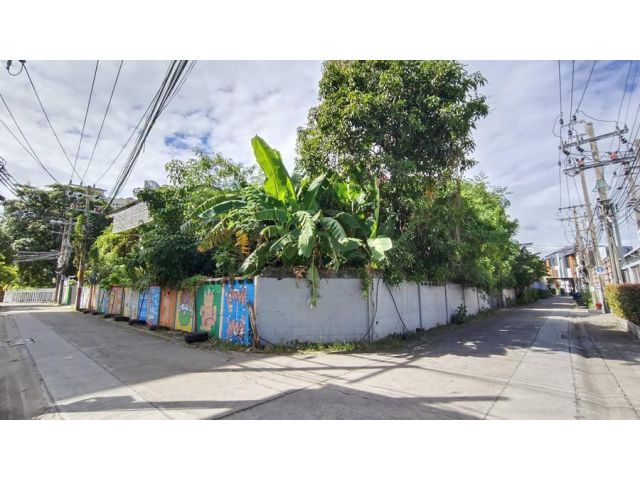 ขายที่ดิน 324 ตรว. เดินได้จาก BTS พระโขนง Summer Point