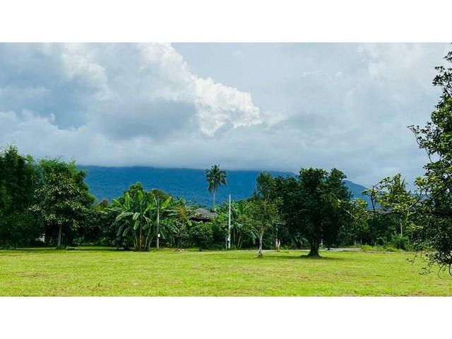 สวนผลไม้วิวเขา ติดลำธารน้ำ ใกล้เขาใหญ่ น้ำไฟ 1ไร่กว่า อ.ปากพลี นค