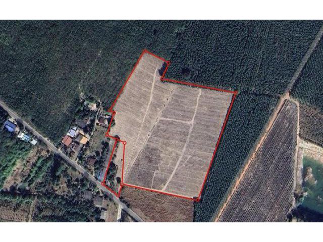 น.ส.4 จ. พร้อมโอน 24 ไร่ 2 งาน 85 ตารางวา