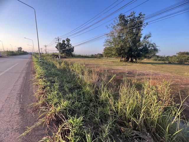 ขายที่ดิน สวยๆ ราคาถูก แปลงเล็ก ใกล้แยกการไฟฟ้าหนองคาย