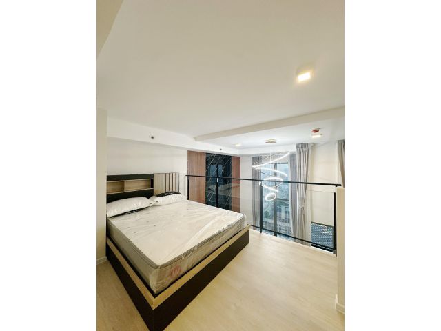 Siamese 48 safe clean