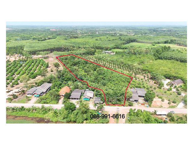 ขายที่ดิน 8 ไร่ 192 ตารางวา ต.พังราด ติดถนนชุมชน เจ้าของขายเอง