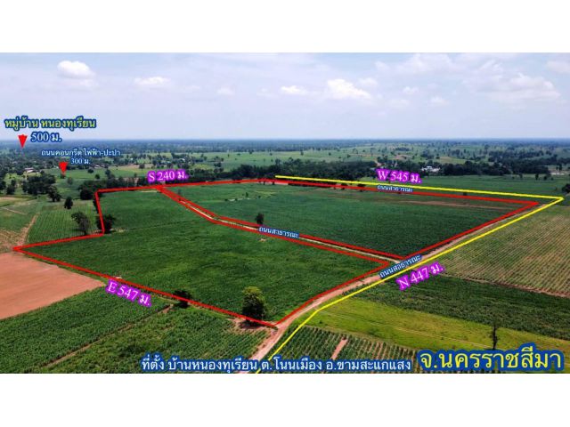 ขายที่กิน(โฉนด) 120ไร่ ไร่ละ130000-อ.ขามสะแกแสง จ.นครราชสีมา.เหมาะทำไร่/สวน/ฟาร์มไก่.ขายถูกสุดๆ