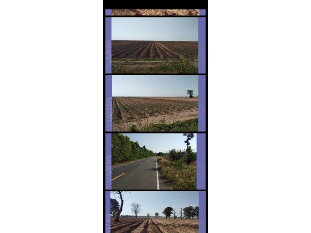 ขายที่ดิน(โฉนด) 1472-ไร่ไร่ละ195000-ติดถนนลาดยาง อ.บัวใหญ่ จ.นครราชสีมา เหมาะทำไร่/สวนผสม/ฟาร์มเลี้ยงสัตว์?/โรงงาน/โซล่าเซล์