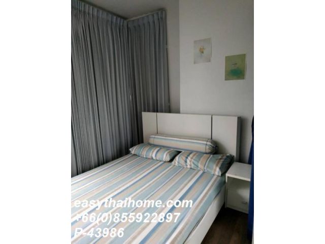 P-43986 ให้เช่า คอนโด เดอะ บลูม สุขุมวิท 71 แขวงพระโขนงเหนือ เขตวัฒนา กรุงเทพมหานคร พร้อมอยู่ ราคาถูก Line Id: @easytha