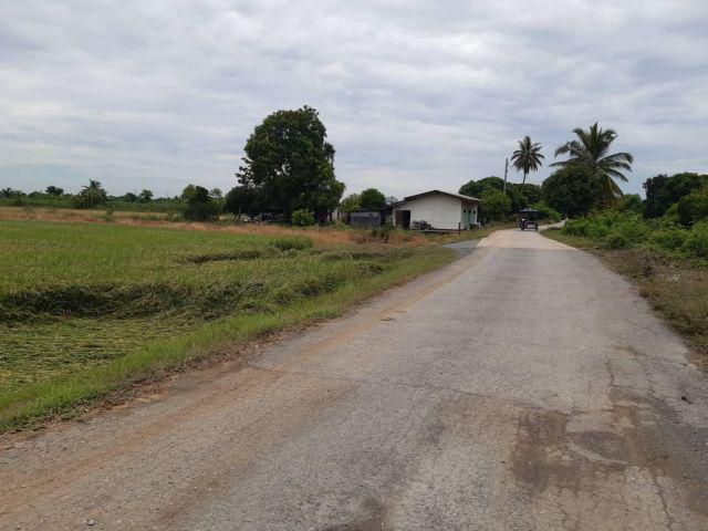 ขายที่ดินแปลงสวยทำเลดี ติดถนนลาดยาง ใกล้ชุมชน เนื้อที่ 1-0-06 ไร่ อากาศดี เหมาะปลูกบ้านพักอาศัยทำเกษตรพอเพียง