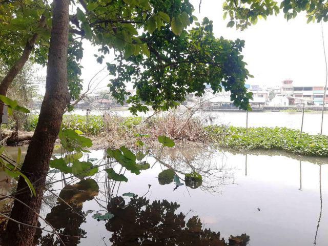 ขายด่วน!!!ที่พร้อมบ้านไม้ติดแม่น้ำติดถนนสาธารณะราคาถูก ใกล้ตลาดห้วยพลูใกล้ชุมชนเนื้อที่ 1-0-94ไร่ เหมาะอยู่อาศัยทำธุรกิจ