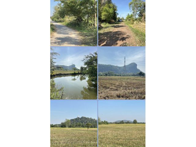 ที่นาติดชุมชน วิวเขา