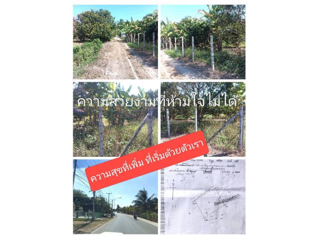 แปลงใดไหนเล่าจะเท่าที่เราชอบนิยามแห่งความจริงเชื่อสิ่งที่ใช่ ไม่น่ารอดสายตาท่านแน่นอน สู่สังคมที่ทำกินถิ่นที่อยู่อาาศัย