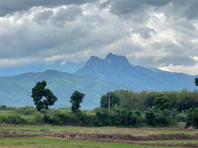 ขายที่ดิน 112 ไร่ ติดถนนเลี่ยงเมืองหล่มสัก ใกล้โรงเรียนกาญจนาภิเษก ต.น้ำชุน อ.หล่มสัก จ.เพชรบูรณ์