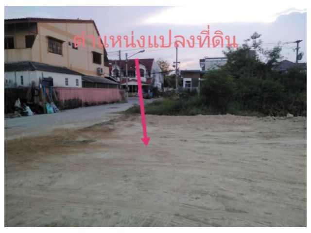 ขายที่ดินถมแล้ว 50 ตรว
