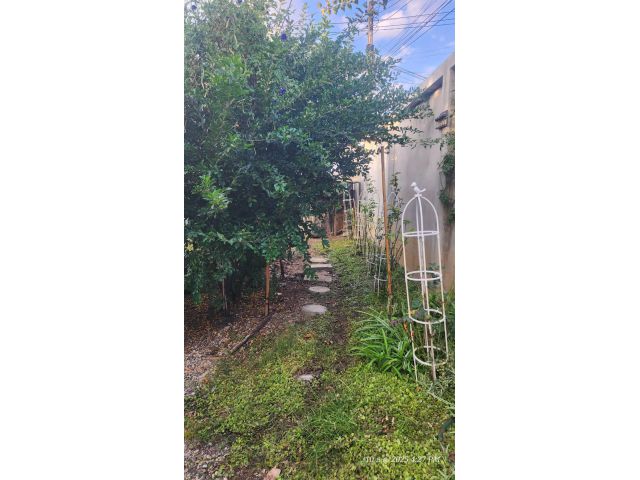 ขายที่ดิน 100 ตารางวา