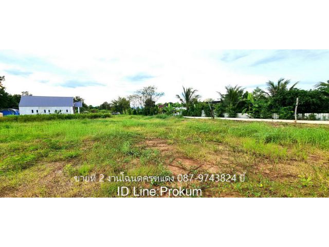 ขายที่ดิน 2 งาน 650,000 บาท ต.สะเดียง