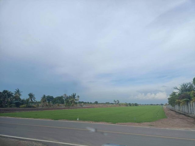 ขายที่ดิน 26 ไร่ ติดถนนสองด้าน ต.บัวปากท่า อ.บางเลน จ.นครปฐม