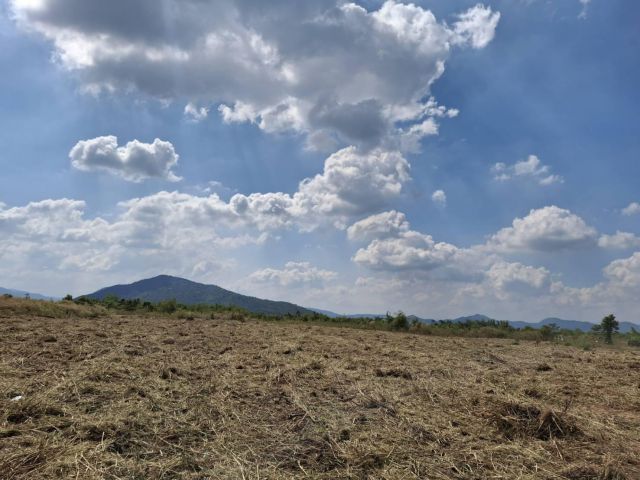 ขายด่วน!! ที่ดิน ภ.บ.ท.5 สวยๆ 161 ไร่ ต.รางบัว อ.จอมบึง จ.ราชบุรี ไร่ละ 180,000.- สามารถต่อรองได้