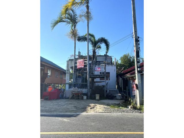 ขายบ้านเดี่ยว2ชั้นพร้อมที่ดิน 200 ตรว ซอยวัด และ รร มฤคทายวัน ถ บางบัวทองสุพรรณบุรี ต.เทพมงคล อ.บางซ้าย จ.พระนครศรีอยุธย