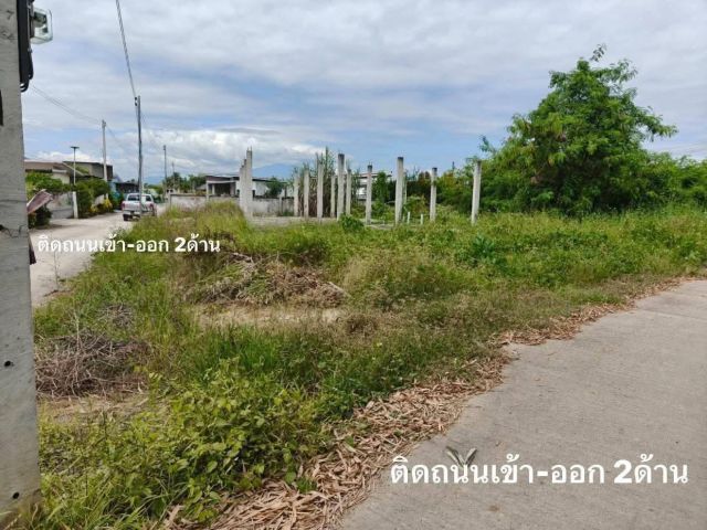 ขายที่ดินตำบลขัวมุงสารภีติดถนนสองด้านโฉนด