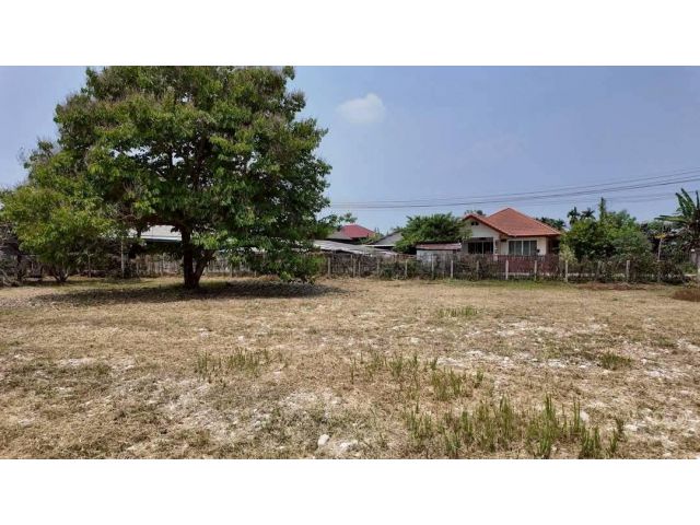 ขายที่ดินตำบลสันปูเลยดอยสะเก็ตหน้ากว้าง 42เมตร