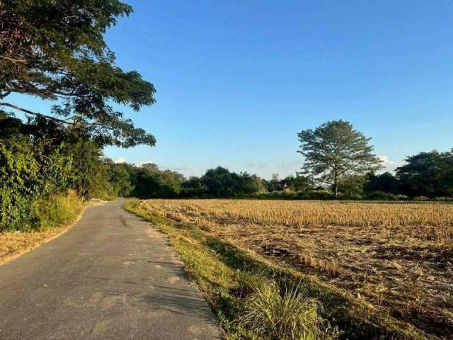 ขายที่ดินตำบลลวงเหนือดอยสะเก็ตติดน้ำแม่กวงพร้อมโอน