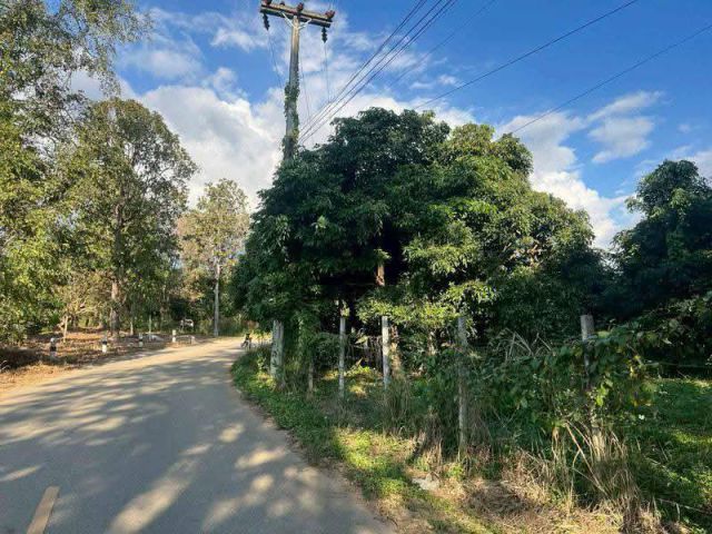 ขายที่ดินตำบลน้ำแพร่หางดงบ้านท่าไม้ลุงเอกสาร นส3