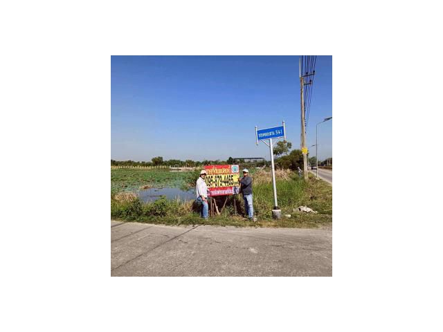 Vายที่ดินซอยวัดป่าห้าพระองค์ 200 ตารางวา แปลงมุม ติดถนนคลองเเอนคลองสาม 5/4-1 อ.คลองหลวง จ.ปทุมธานี