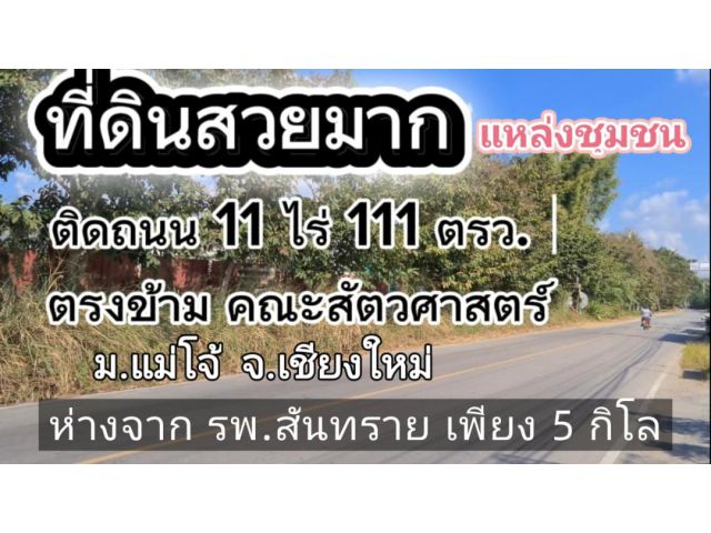 ขายที่ดินติดถนน 11 ไร่ ตรว.ละ8,000 บาท ตรงข้าม คณะสัตวศาสตร์ ม.แม่โจ้ จ.เชียงใหม่