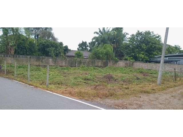 ขายที่ดินสันทราย 132 ตรว.ใกล้ถนนหลัก 4 เลน เหมาะปลูกบ้านบรรยากาศดีมีวิวดอยทำเลดีค้าขายได้ อยู่ในชุมชนสะดวกมาก