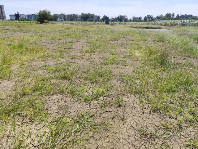 ขายที่ดินเปล่า แปลง 1-9 ไร่แปลงสวย อากาศดี มีบ่อน้ำใส แบ่งได้ ที่ใกล้หอพัก นกฮูกเก้า ม. เกษตร กำแพงแสน นครปฐม