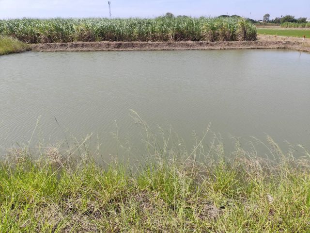 ขายที่ดินเปล่า แปลง 5-9 ไร่ แบ่งได้ ที่ใกล้หอพัก นกฮูกเก้า ม. เกษตร กำแพงแสน นครปฐม