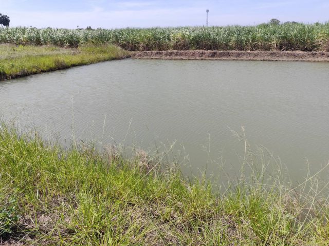 Sale large land 9.3 Rais suitable for projects or building house etc, can be subdivided Kamphaeng Saen District, Nakhon