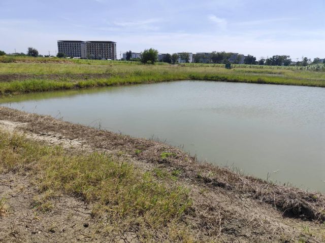 ขายที่ดินเปล่าแบ่งขายได้ โฉนด พร้อมโอน 200 ตรว แบ่งขายได้  แปลง 5-9 ไร่ โฉนดถูกต้อง