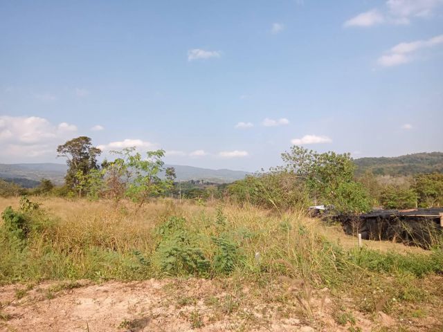 ที่ดินสวยทำเลดี ใกล้อ.ภูเรือ วิวสวย เข้าสะดวกไม่ไทางหลวง สงบๆสบายๆเหมาะกับบ้านพักตากอากาศมาก 1 ไร่1ล้าน