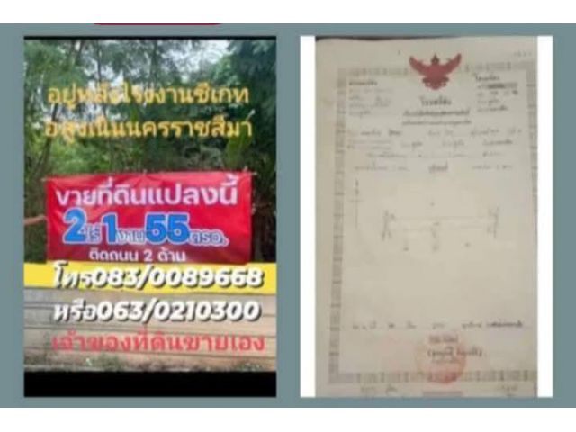 ที่ดินเปล่าอ.สูงเนินแหล่งธุรกิจ2ไร่ครึ่ง