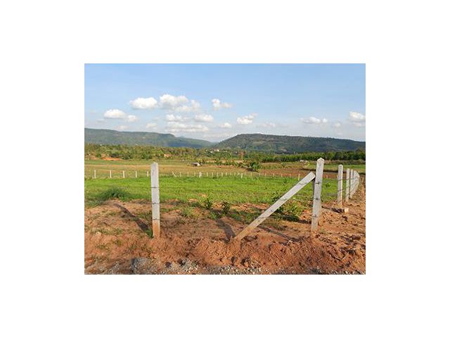 ที่เนินสวยมาก 2ไร่เขตตัวภูเรือ บรรยากาศแม่คะนิ้ง เข้าออกสะดวกใกล้ทางหลวง โครงการถนนคอนกรีตผ่าน มีเพื่อนบ้านบรรยากาศดีมาก