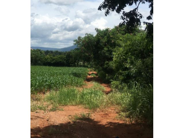 ขายที่ดินโฉนดเขาใหญ่ เนินเขา วิวสวย 28 ไร่ 1 งาน 83 ตารางวา ต.วังไทร อ.ปากช่อง จ.นครราชสีมา