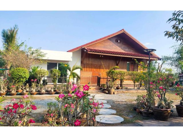 ขายบ้านสวน ทำเลดี 3 ไร่ 1 งาน จังหวัดอุดรธานี